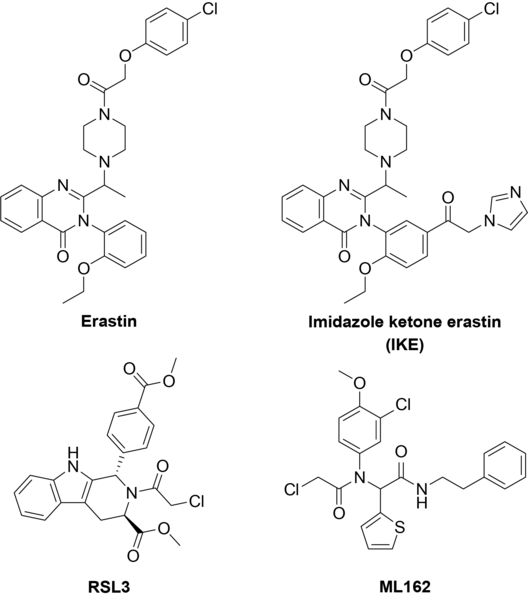 File:Ferroptosis inducer structures.png