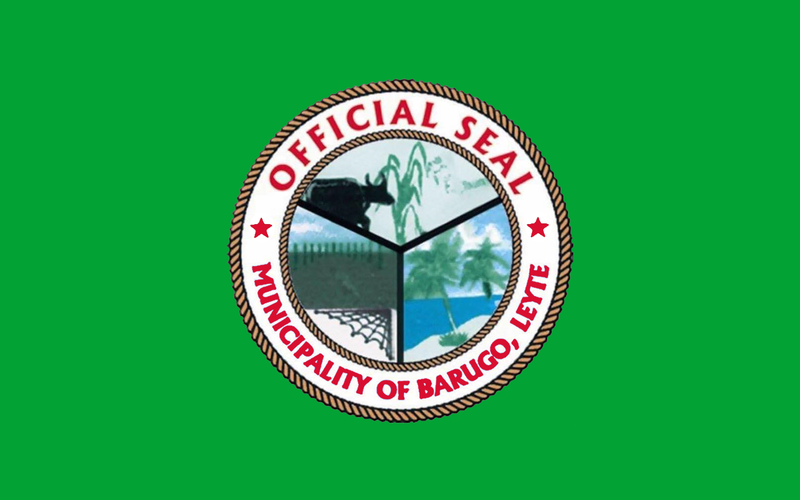 File:Flag of Barugo.png