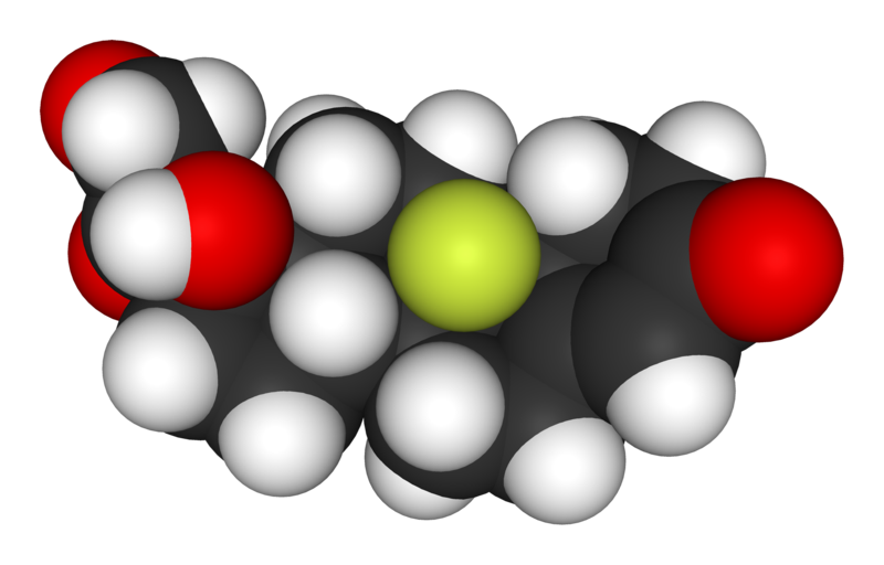 File:Fludrocortisone-from-xtal-1972-matt-3D-sf.png