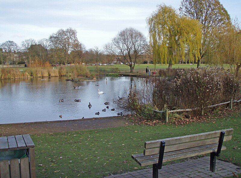 File:Ham Pond.jpg