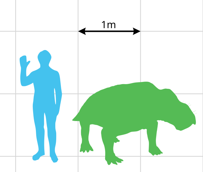 File:Ischigualastia scale.svg