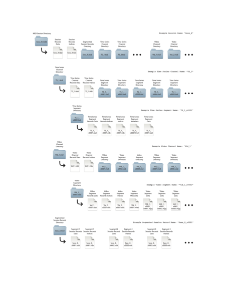 File:MED file hierarchy.png