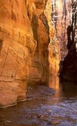 The Chute of Muddy Creek