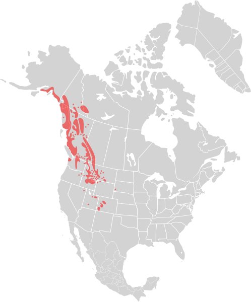 File:Oreamnos americanus distribution.svg