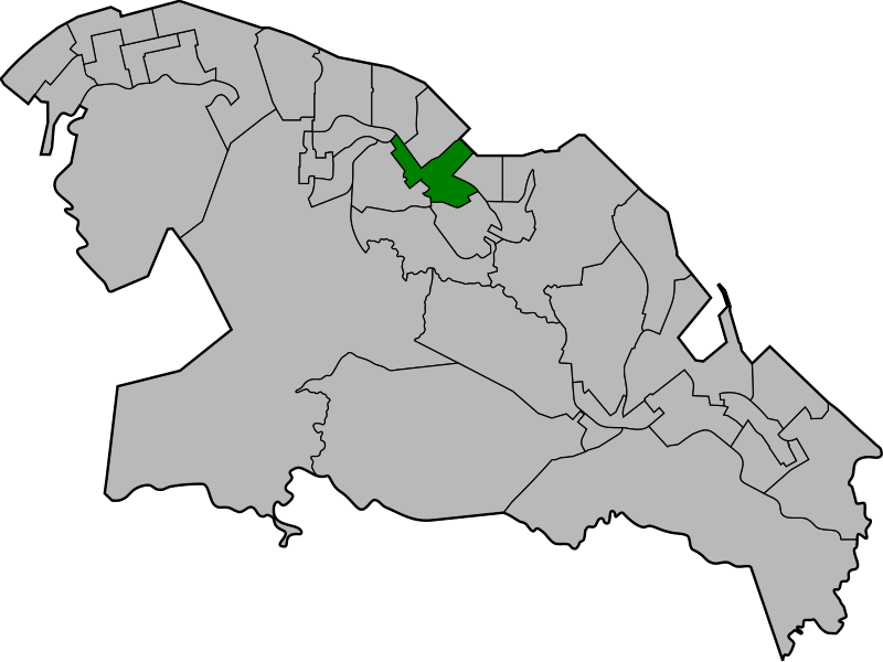 File:SaiWanHoConstituency.svg