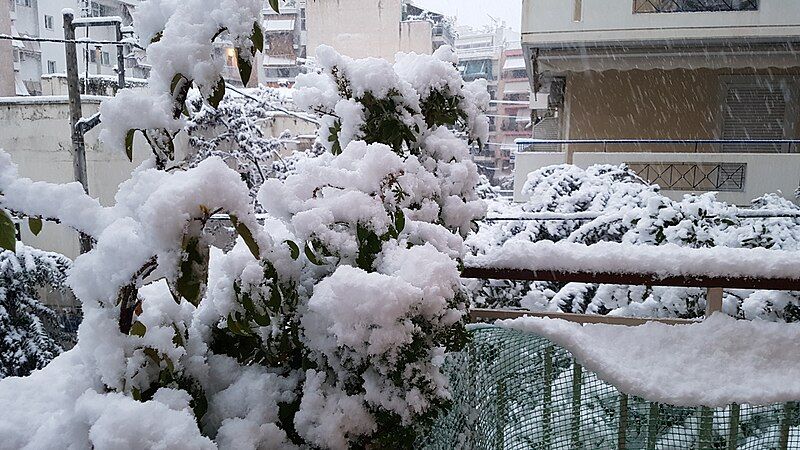 File:Snow pic 3.jpg