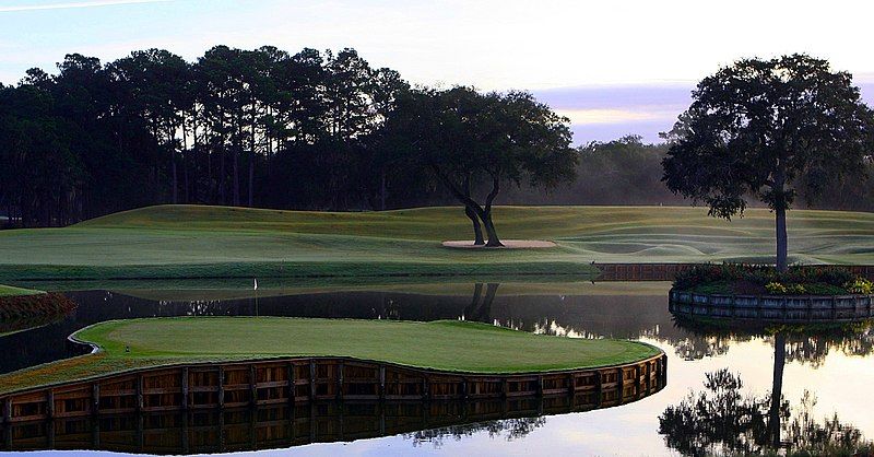 File:TPC Sawgrass 17.jpg