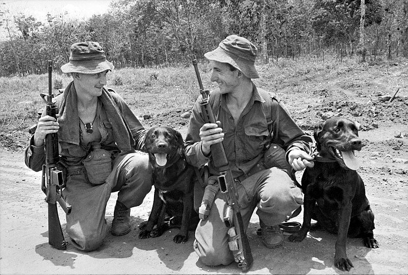 File:Tracker dogs, 1967.jpg