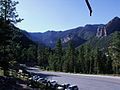 The cool, forested slopes of upper Kyle Canyon