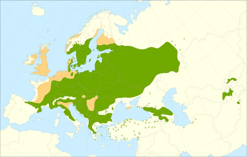 File:Acer platanoides range.svg