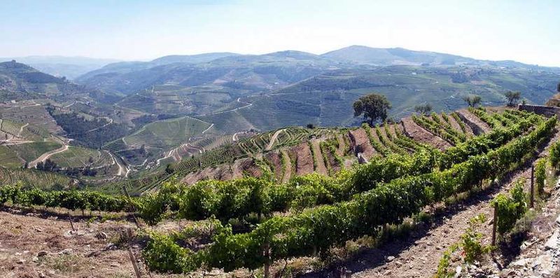 File:Alto Douro (702994366).jpg