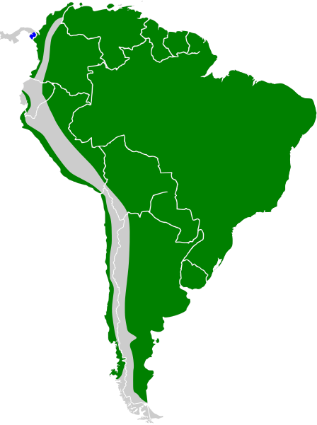 File:Ardea cocoi map.svg