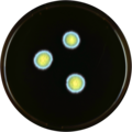 Aspergillus endophyticus growing on MEAOX plate