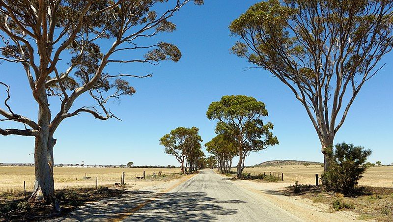 File:Bencubbin-Kellerberrin Road, 2014(2).JPG