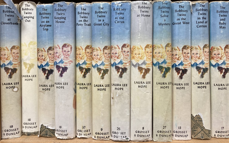 File:Bobbsey twins books.png