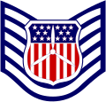 Civil Air Patrol cadet technical sergeant insignia