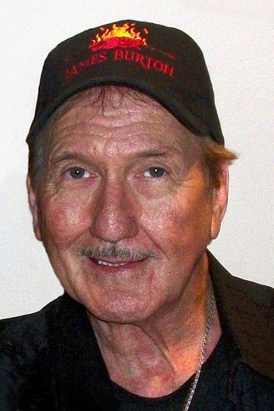 File:James Burton-Verona, 26-11-10.JPG