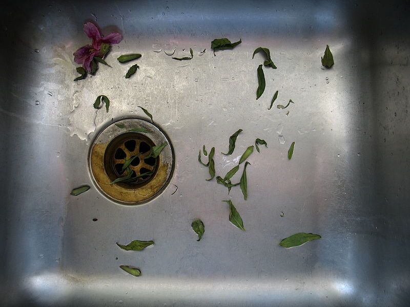 File:Kitchen sink 6752.jpg