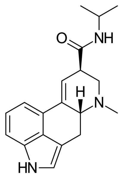 File:LAiP structure.png