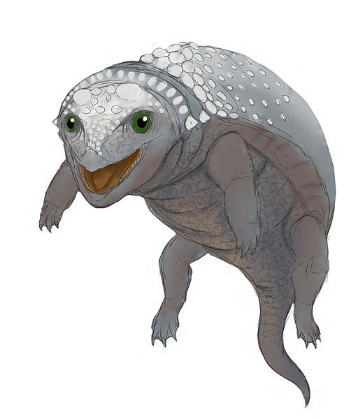 File:Liaoningosaurus.jpg