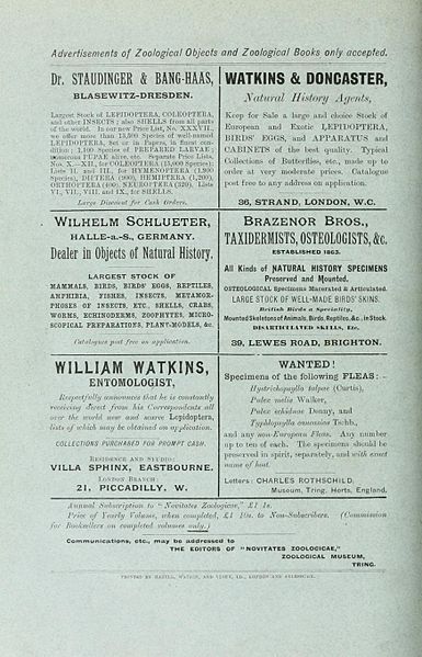 File:NovitatesZoologyVolume1896Adverts.jpg