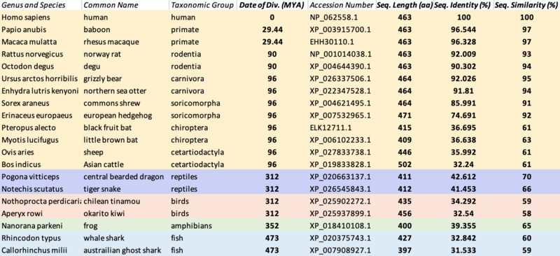 File:Orthologs IRGC v2.png