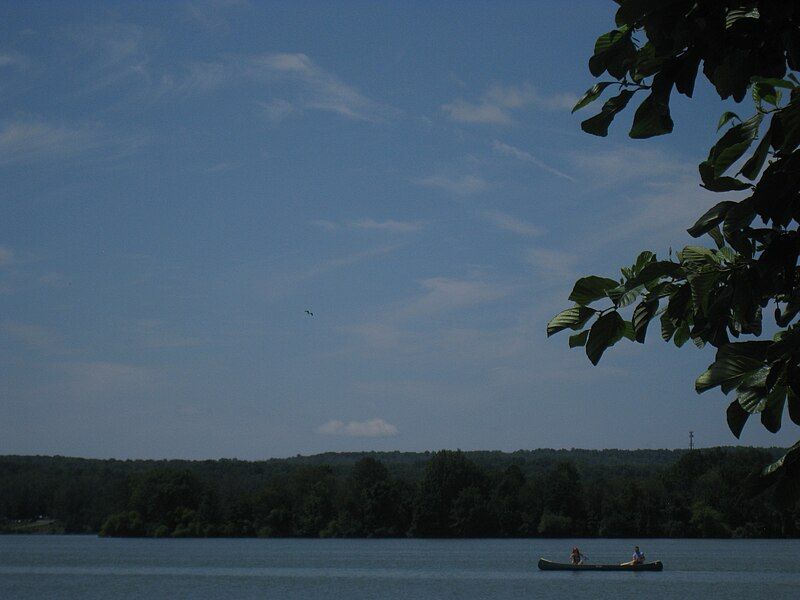 File:Osprey over boat.jpg