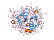 2any: Expression, Crystallization and the Three-dimensional Structure of the Catalytic Domain of Human Plasma Kallikrein: Implications for Structure-Based Design of Protease Inhibitors