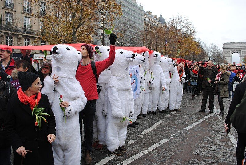 File:Polar bear army.JPG