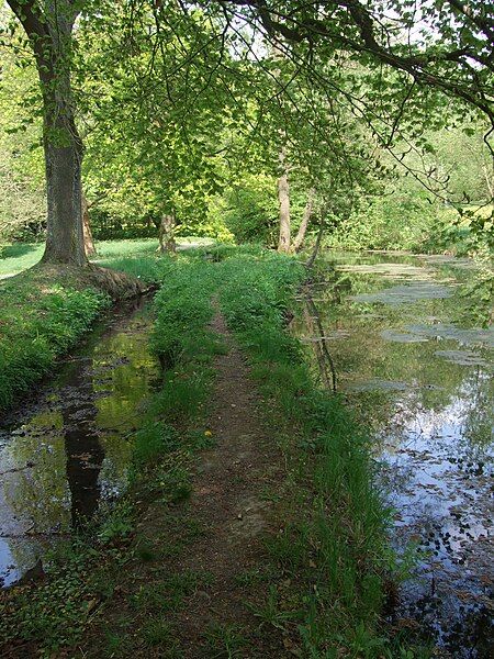 File:Schlosspark Rauischholzhausen 5.jpg