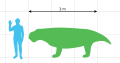 Scale diagram of Stahleckeria potens