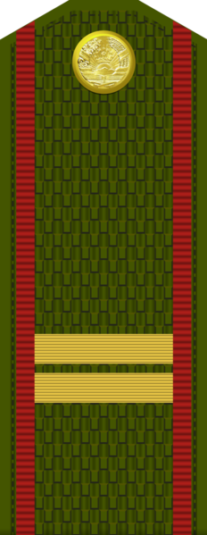 File:Tajikistan-Army-OR-5.png