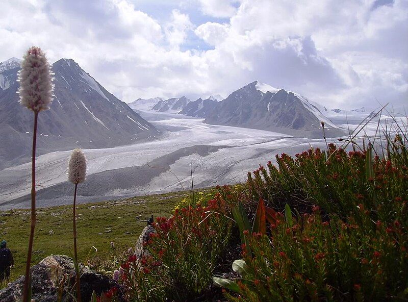 File:Tavan Bogd Mountains.jpg