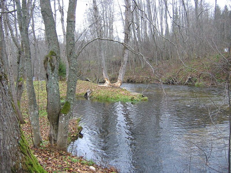 File:Valdaika-river-10-2011-bobry.jpg