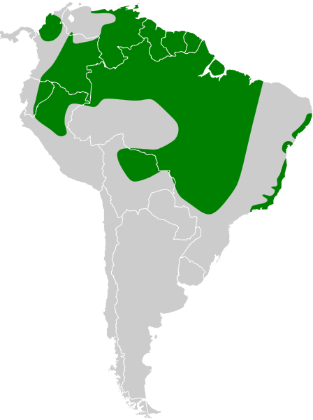 File:Amazona amazonica map.svg