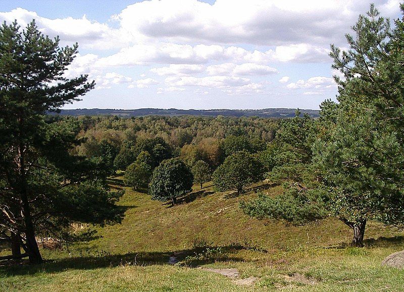 File:Aukrug boxberg-fernblick.jpg