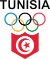 State flag of Tunisia