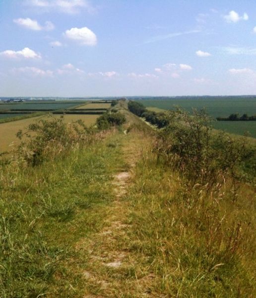 File:Devil's Dyke Cambs.jpg