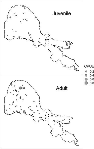 File:DistributionofClearLakeHitch.jpg