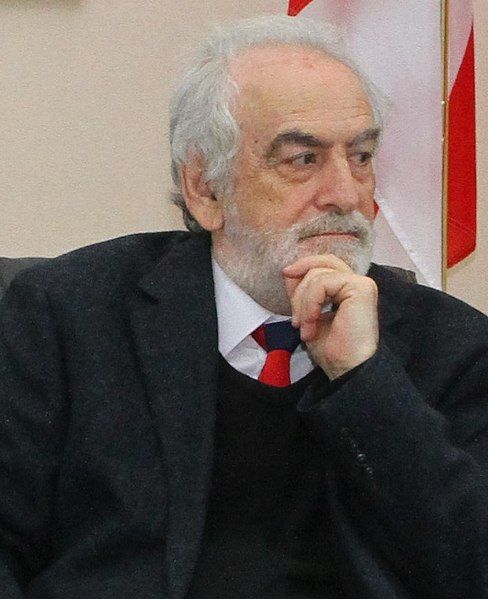 File:Gela Charkviani (cropped).jpg