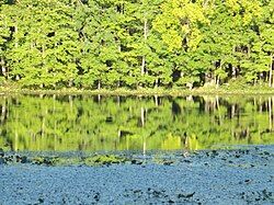 Lake Towhee reflection.jpg