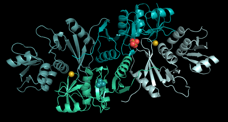 File:Methanocaldococcus jannaschii.png