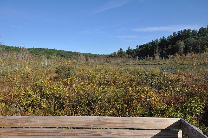 File:PeoplesStateForest BeaverBrookMeadow3.jpg