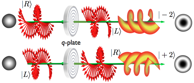 File:Q-plate.png