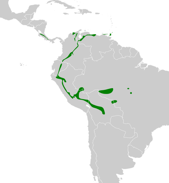 File:Sclerurus albigularis map.svg