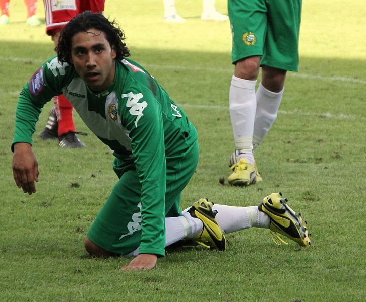 File:Sebastian Castro-Tello, 2013-04-14c.JPG