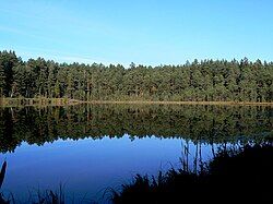 Umbjärv (also Illi Umbjärv and Suur Umbjärv), a lake in Illi