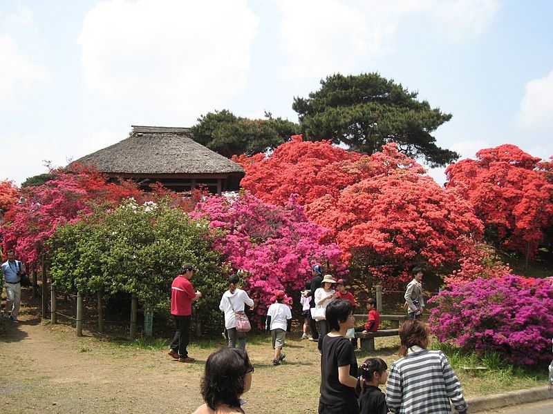 File:TsutsujiTatebayashi.jpg