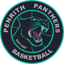 Penrith Panthers logo