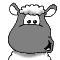 Stew the sheep